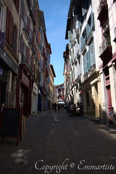 DSC 6169