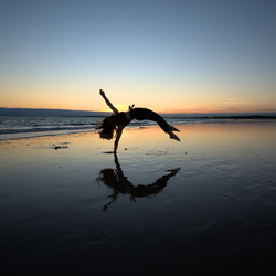 Danse